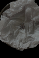 GISELA EARRINGS